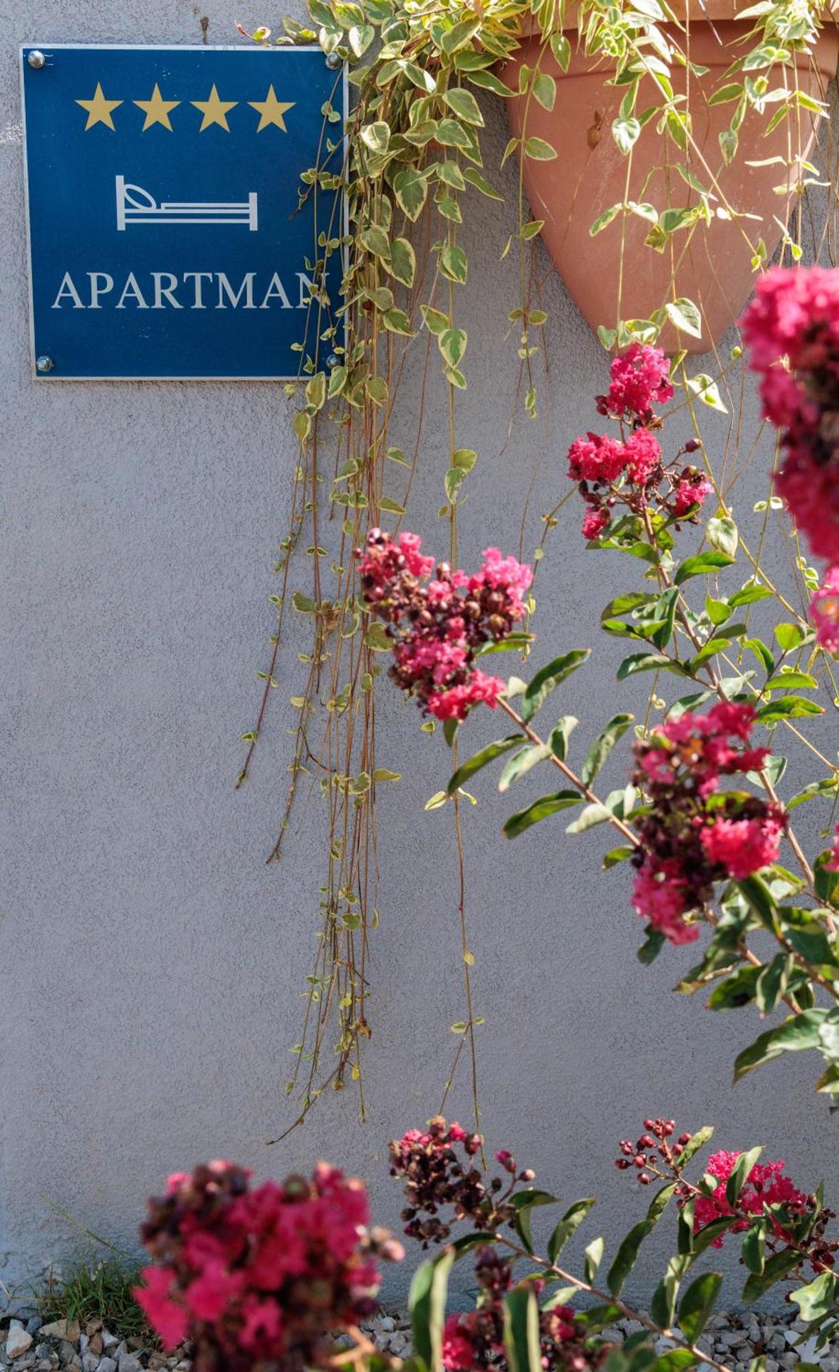 Luxury Apartment Alba With Pool Kanfanar Exterior foto